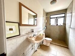 Gray Lane (D15), Apartment #588858241